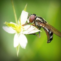 /album/tengler-tamas/photolia-a02-jpg/