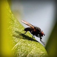 /album/tengler-tamas/photolia-a04-jpg/