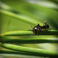 /album/tengler-tamas/photolia-a05-jpg/