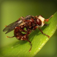 /album/tengler-tamas/photolia-a06-jpg/