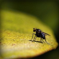 /album/tengler-tamas/photolia-a07-jpg/