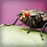 /album/tengler-tamas/photolia-a08-jpg/